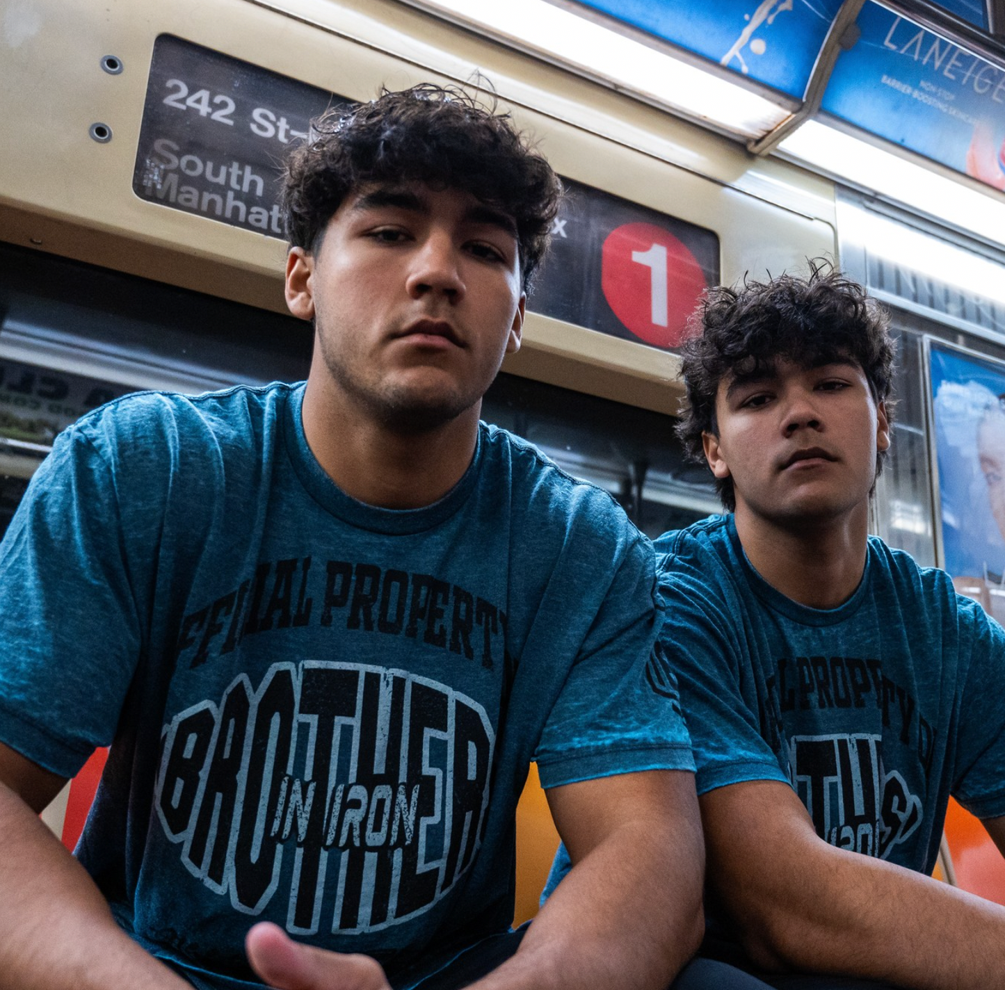 Official Property of Brothers In Iron